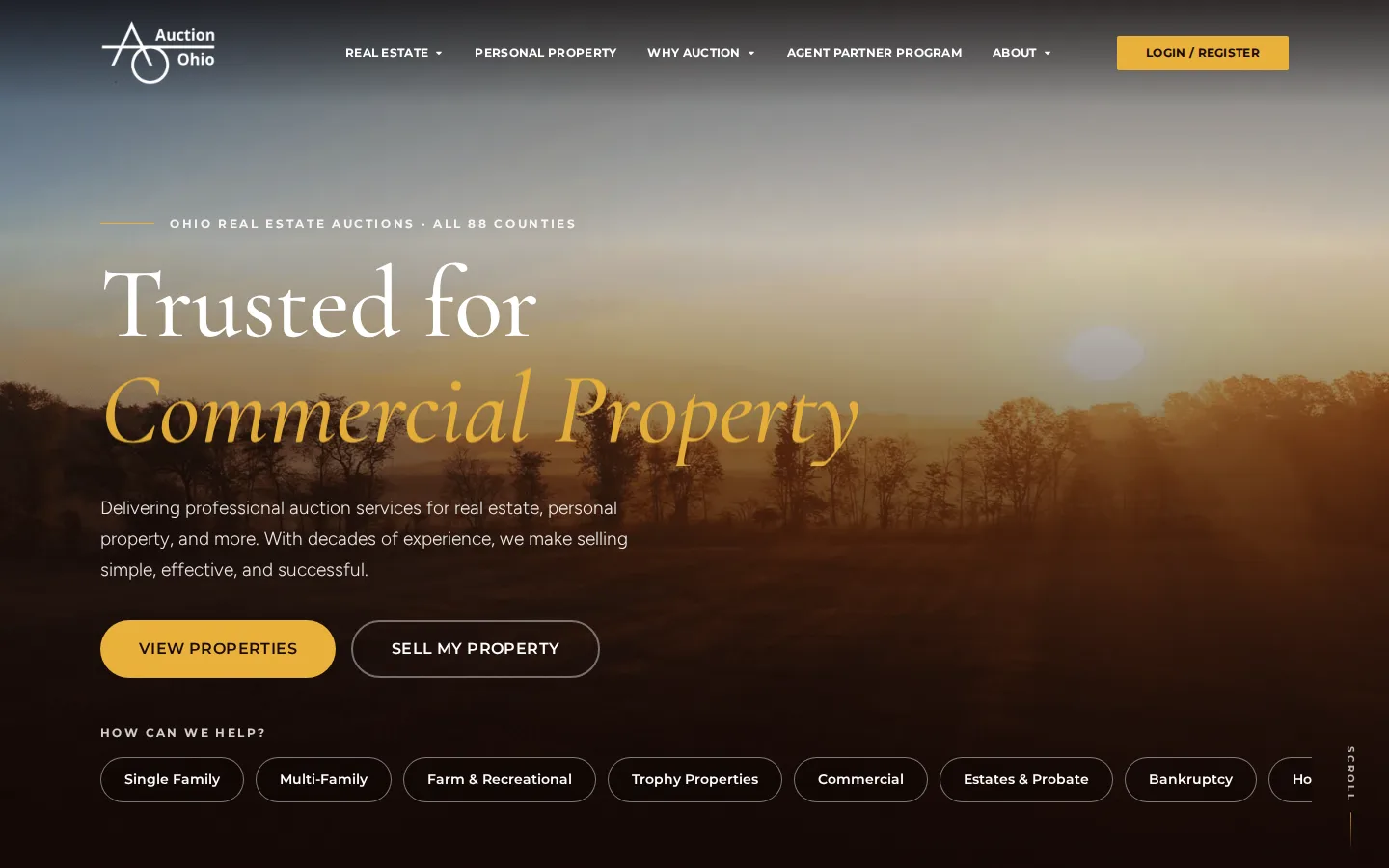 Auction Ohio Real Estate website preview